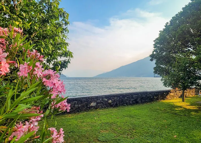 Vento Blu * Домазо