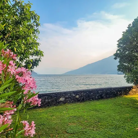 Vento Blu * 도마소